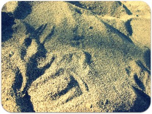 sand cross process