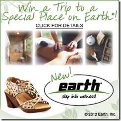 SS12_EarthSweeps_Square_R5 SS12_EarthSweeps_Square_R5