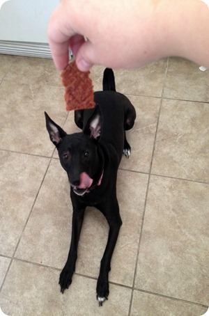 milo's kitchen treats milo's kitchen treats