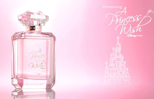 A Princess Wish