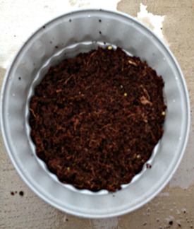 Tomato Planting
