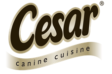 cesar_logo cesar_logo