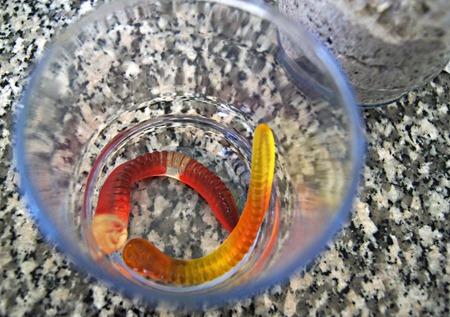 Dirt Pie Ingredient Gummy Worms Dirt Pie Ingredient Gummy Worms