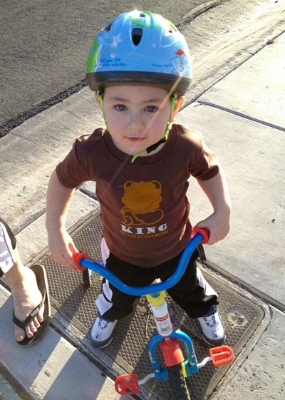 Happy Toddler on Tricycle Happy Toddler on Tricycle