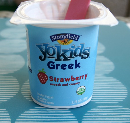 YoKids Greek Yogurt 1