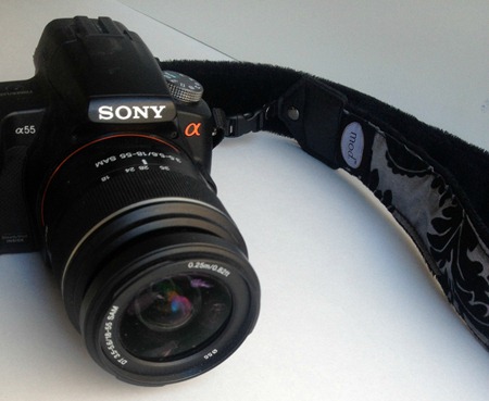 mod strap with camera