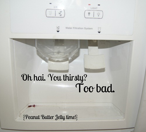 Fridge 1 Fridge 1