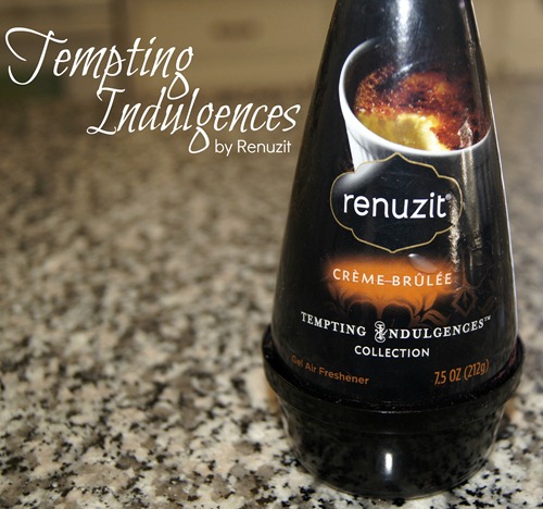 renuzit tempting indulgences renuzit tempting indulgences