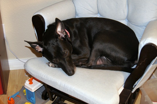 Bella rocker