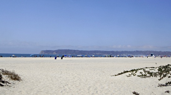 beach proposal wm beach proposal wm