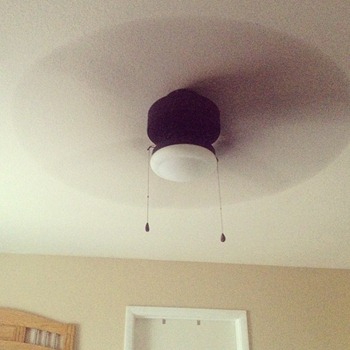 ceiling fan ceiling fan