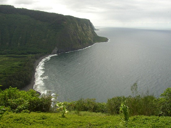 P1010064