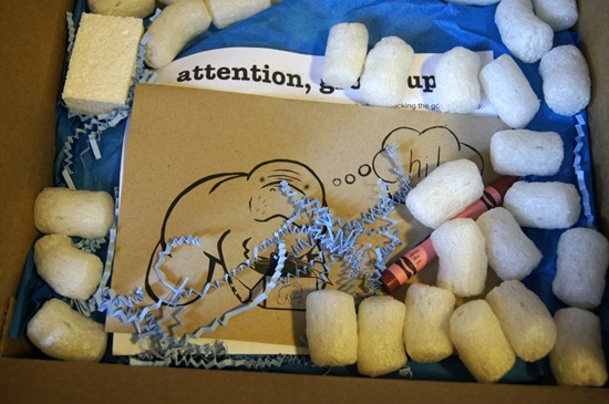 Blue Manatee Boxes Blue Manatee Boxes