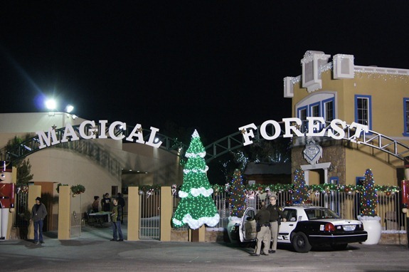 magical forest
