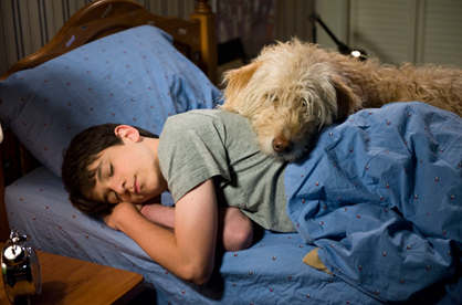 sweetie diary wimpy kid sweetie diary wimpy kid