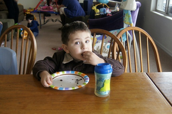Shane brownies