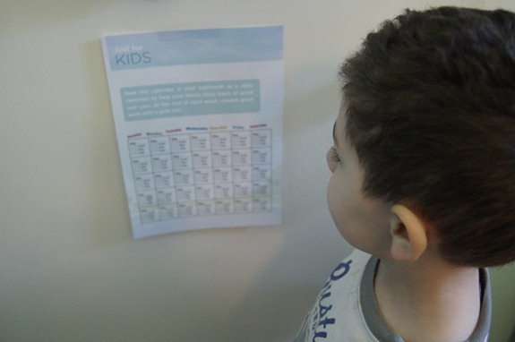 lisertine 21 day challenge kid chart