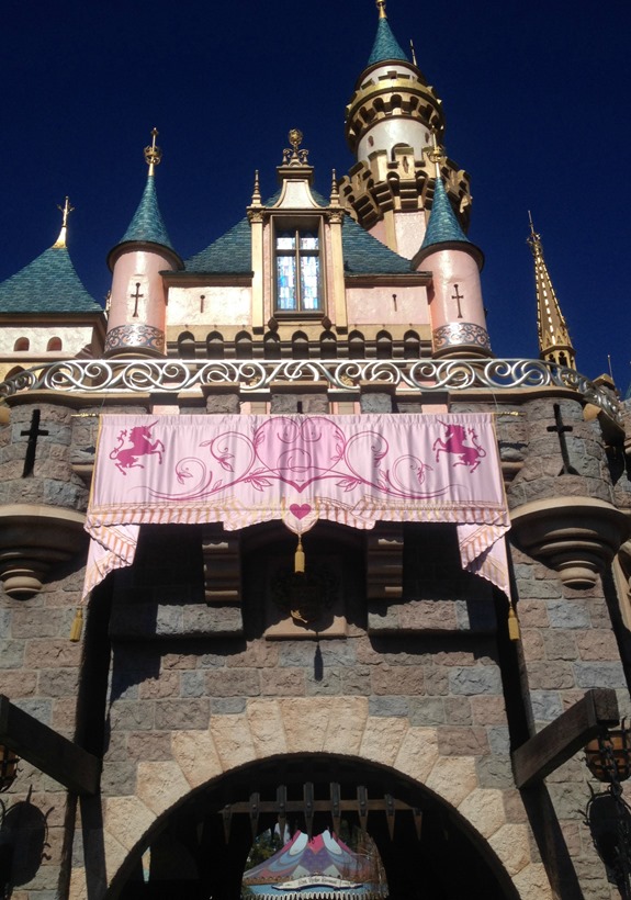 Disneyland Castle Disneyland Castle