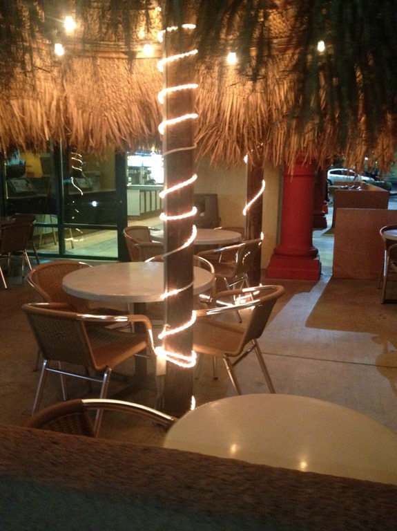 Rubio's Patio