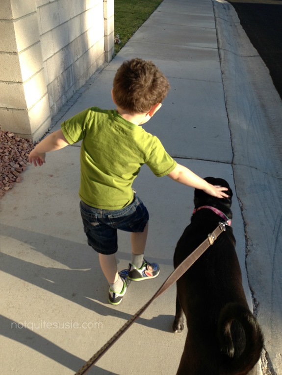 Shane & Bella Notte
