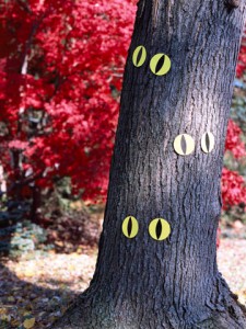 Halloween crafts aren’t just for kids! These DIY decorations ideas are for adults- but still easy enough to let your kids help, too! They’re creative {there’s more than just pumpkin decorating} and the perfect way to celebrate the spookiest holiday of fall!