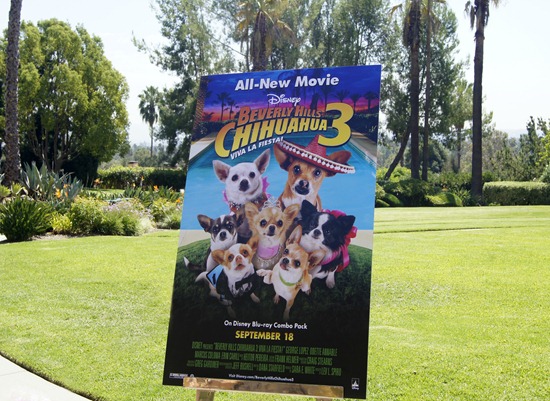 beverly hills chihuahua 3 poster