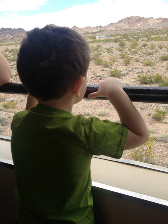 Little boy riding on train