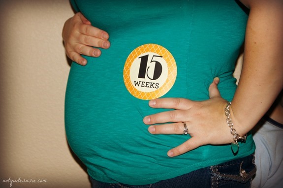 15 Week Baby Belly Bump Photo