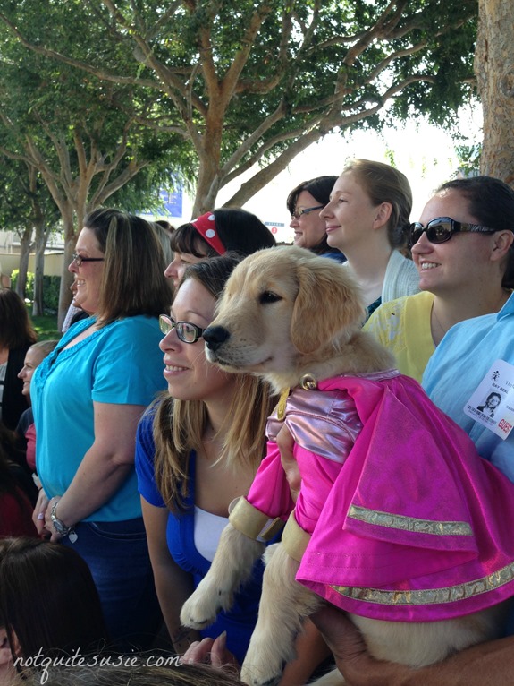 Photo opp with Rosebud from Super Buddies