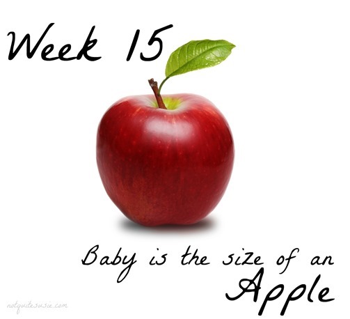 Week 15 Baby Comparison Apple