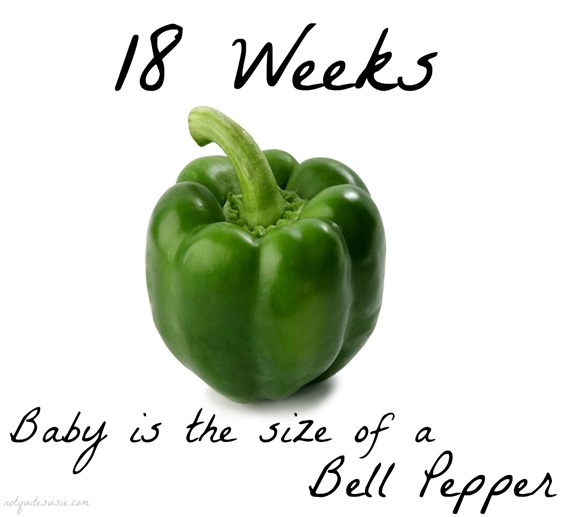 18 week baby size comparison bell pepper