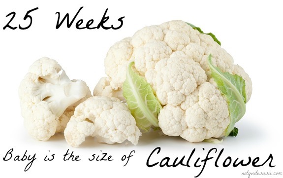 25 Weeks Baby Size Comparison Cauliflower