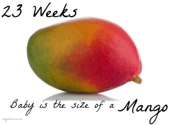 Mango Baby Size Comparison 23 weeks