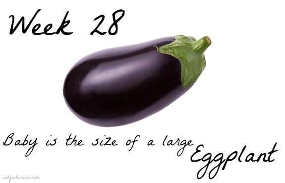 Week 28 Baby Size Comparison Eggplant