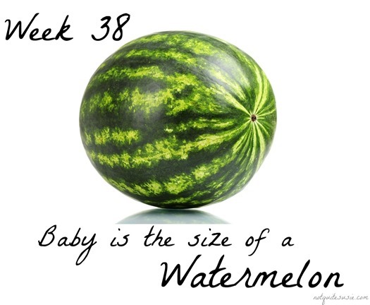 Week 38 Baby Size Comparison