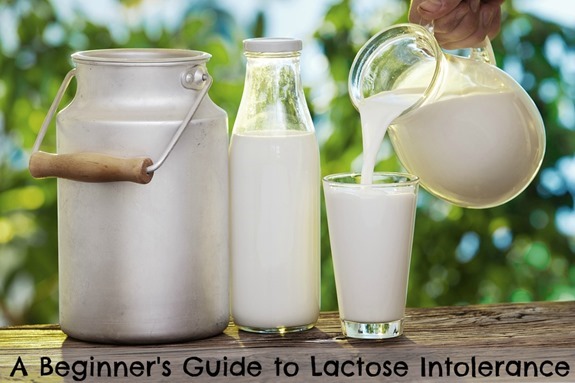 A Beginner's Guide to Lactose Intolerance