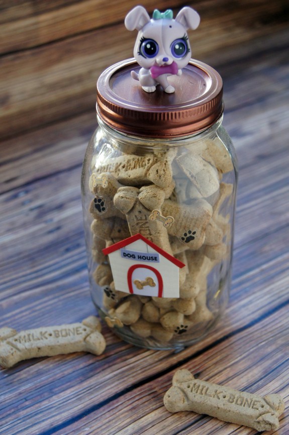 DIY Dog Treat Jar Craft Idea