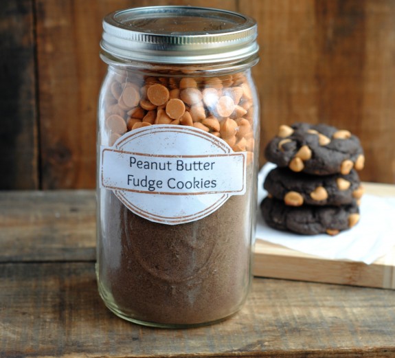 https://www.notquitesusie.com/wp-content/uploads/2014/12/Peanut-Butter-Fudge-Cookie-Mix-in-a-Jar-DIY-Gift-Idea-575x521.jpg