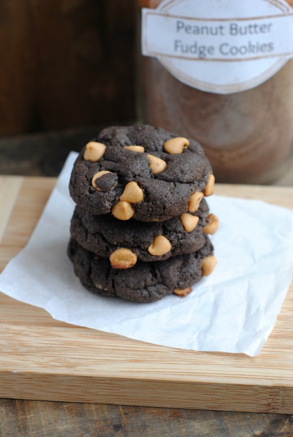 Peanut Butter Fudge Cookies Recipe
