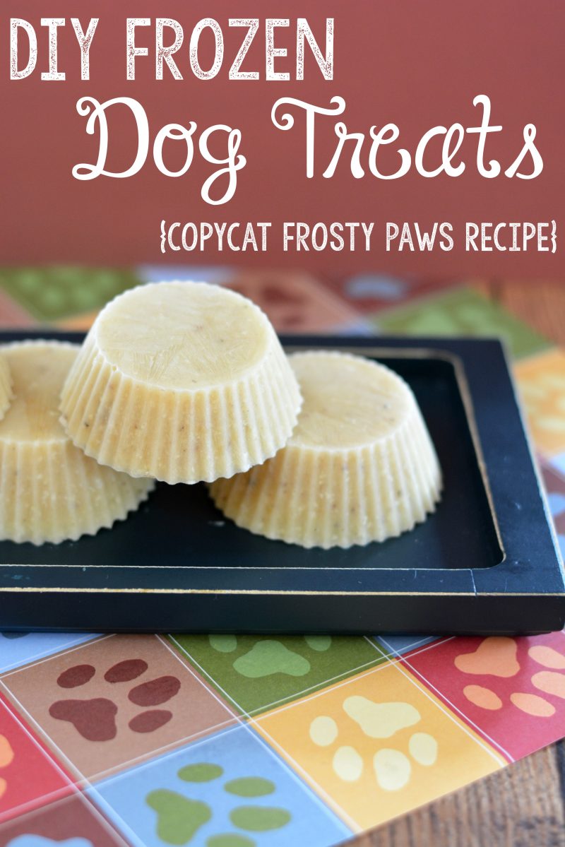 DIY Frozen Dog Treats Recipe- a copycat Frosty Paws Recipe with just two ingredients! This is the perfect way to spoil your dog in the summer and will cost WAY less than the store bought ones!