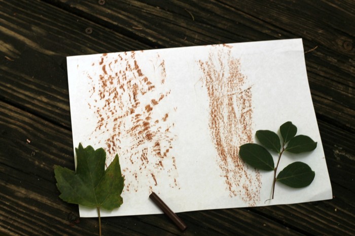 Make leaf etchings this summer! Find more fun backyard activities in this post!