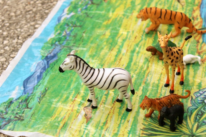 Learning Through Play- Zoo Enrichment Activities