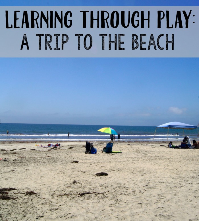 Heading to the beach with kids this summer? In addition to making for some great pictures, the ocean can be a great learning tool! Your kids can learn on vacation while having fun- check out these hacks, ideas and tips to help you make this trip educational!