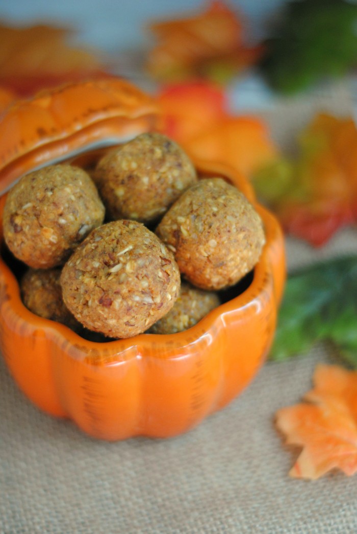 Pumpkin Pecan Bites- a sweet way to get some energy quick!