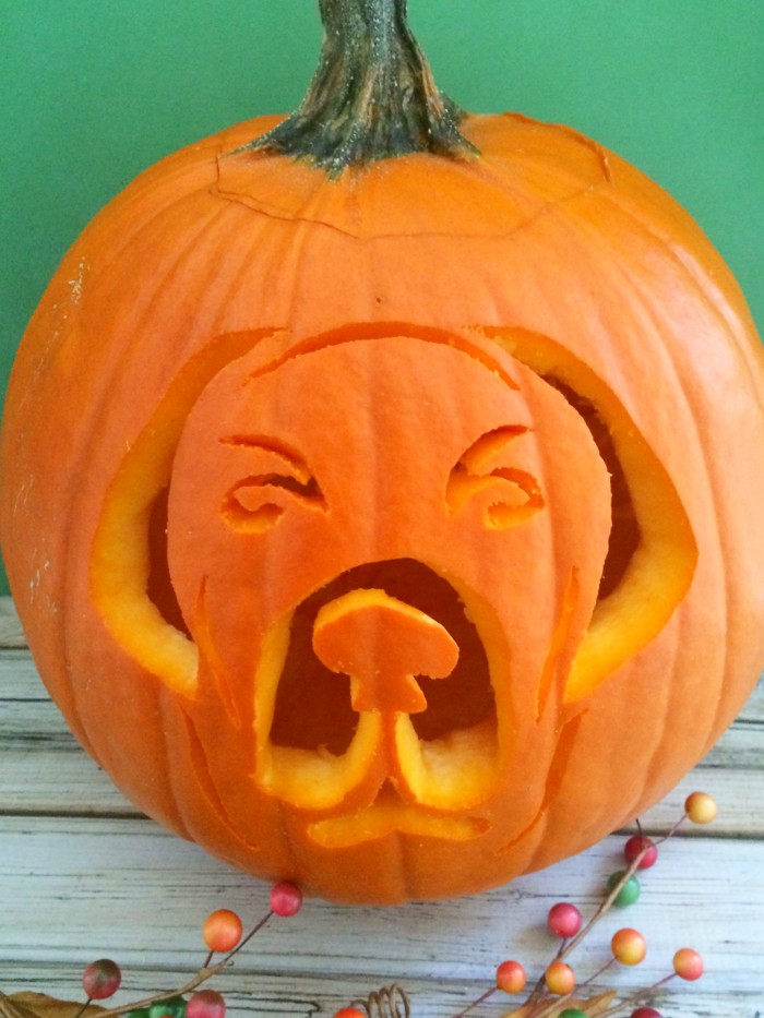 22-free-pumpkin-carving-dog-stencils-breed-specific-treats-happen