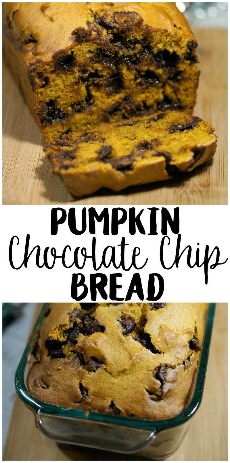 Need an idea for a great recipe to bake and gift this Christmas? Look no further- this easy recipe is for the best, most incredibly moist Pumpkin Chocolate Chip Bread! Totally loaded with chocolate chips, this bread will satisfy even the sweetest sweet tooth.