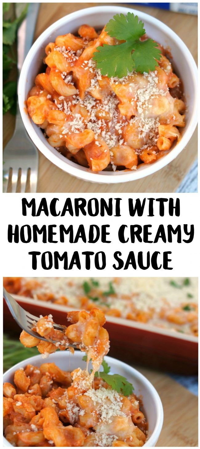 Macaroni with Homemade Creamy Tomato Sauce Recipe {Not Quite} Susie