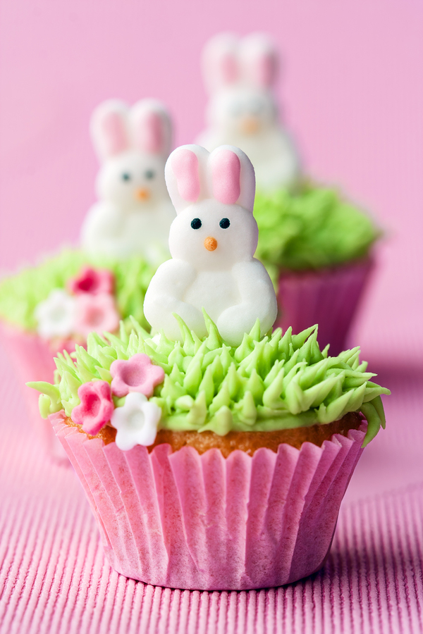 25 Cute Easter Cupcake Ideas - {Not Quite} Susie Homemaker