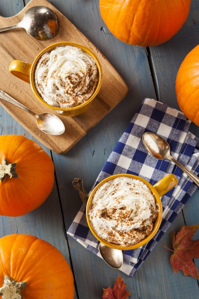 It’s fall, and that means it’s time for Pumpkin Spice everything! Get 50 delicious recipes- including a Pumpkin Spice Latte recipe {not from a mix!}, cookies, cake, creamer, Frappuccino, cupcakes, and even muffins! There are enough recipes here to last you all season long.