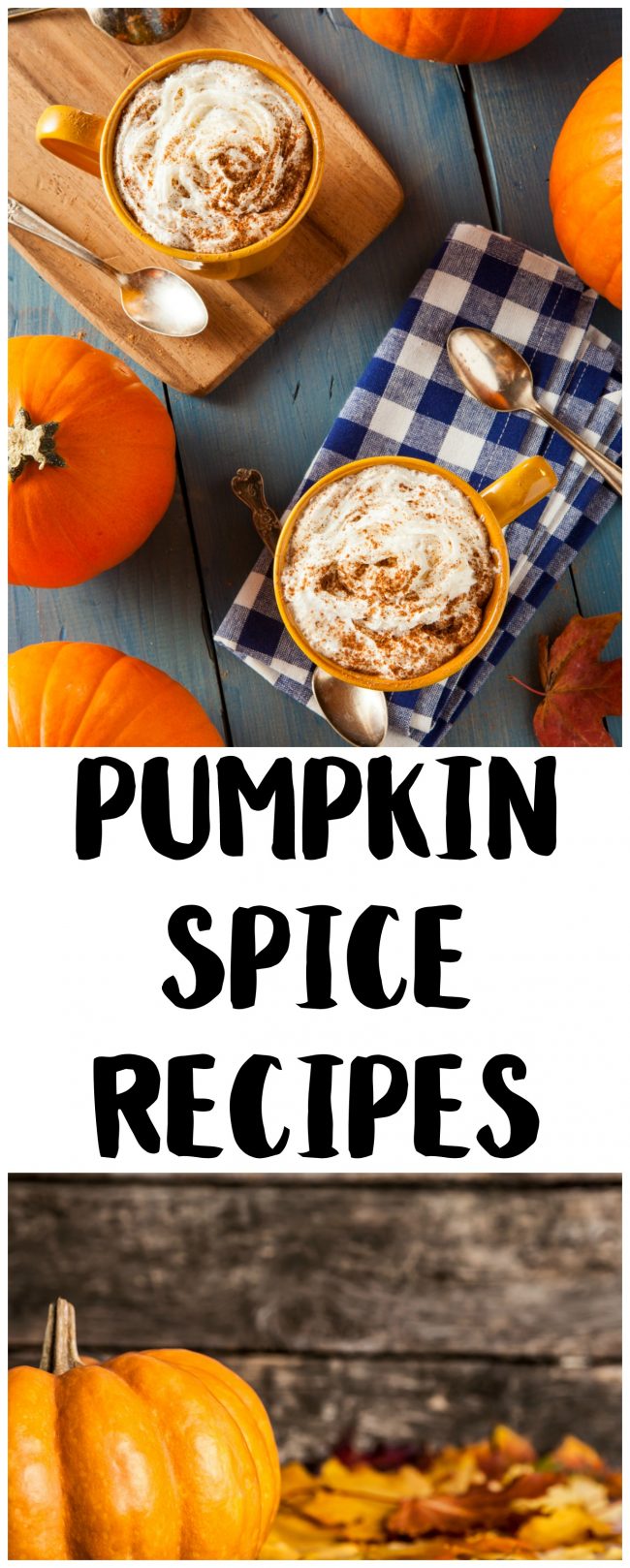 It’s fall, and that means it’s time for Pumpkin Spice everything! Get 50 delicious recipes- including a Pumpkin Spice Latte recipe {not from a mix!}, cookies, cake, creamer, Frappuccino, cupcakes, and even muffins! There are enough recipes here to last you all season long.